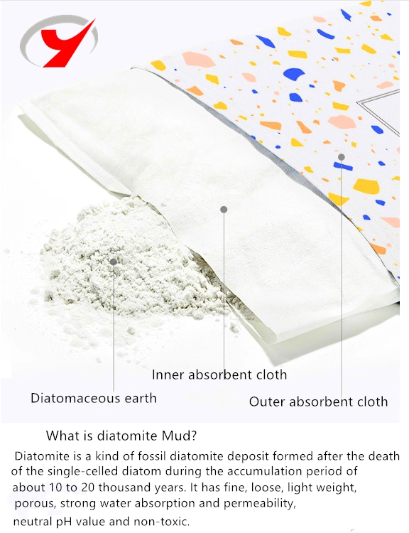 Zjgleader New Design Water Absorbent Diatomite Earth Powder Fabric Non Slip Diatom Mud Shower Mat Soft Bath Mat